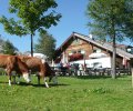 Mitterfeldalm 